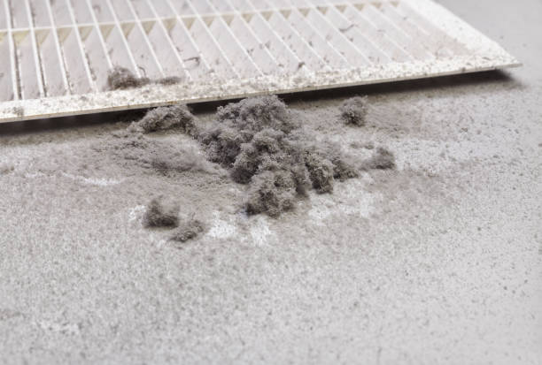 Best HVAC Maintenance and Cleaning  in Vista Santa Rosa, CA